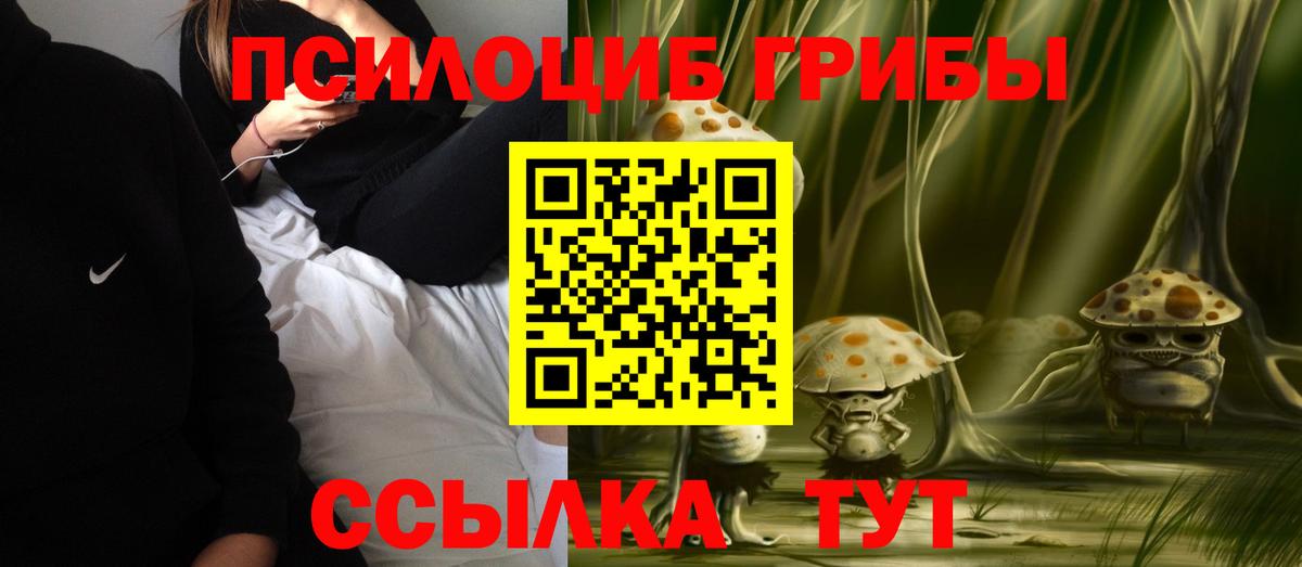 Великий Новгород  Галлюциногенные грибы Psilocybe  Псилоцибиновые грибы мухоморы  Вход с VPN 